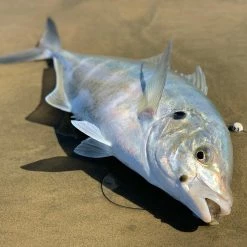 Kraft Tool Company Sunset Amnesia Memory Free Monofilament Trace | 30lb / 13.6kg 100m