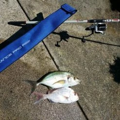 Deals Akios Airloop R10 + Endurance Pro RS2 Surfcasting Combo Set