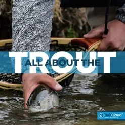 BaitCloud InLine Trout Attractant - 3 Pack