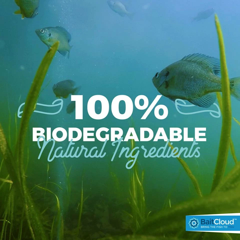 BaitCloud InLine Predatory Formula - 3 Pack