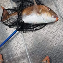 Catch Softbait Value Pack With Tackle Box