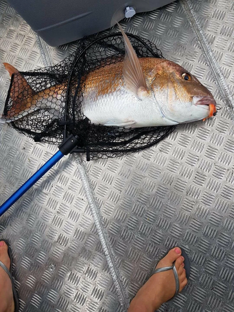 Catch Softbait Value Pack With Tackle Box