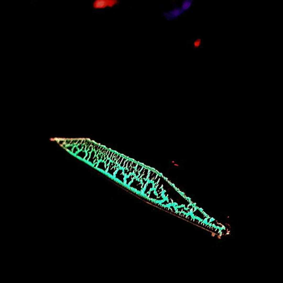 Catch Double Trouble Black Ninja Jig (60g-300g