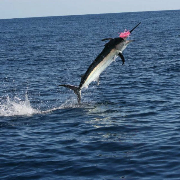 Richter Lures Soft Oscar 10" Game Fish Lure - 502 / 506 Deals