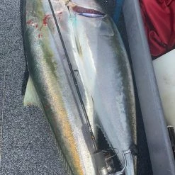 Catch S3000 + Kensai Slow Pitch Spin Jigging Combo 8kg Drag 6ft 3in 1 Piece 80-150 Gram