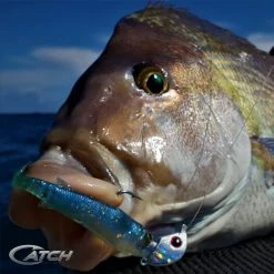 Catch Softbait Value Pack With Tackle Box