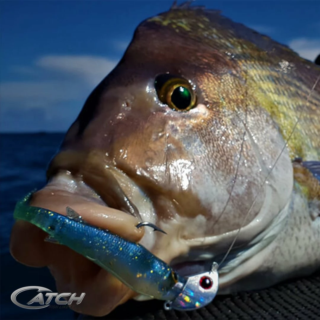 Catch Softbait Value Pack With Tackle Box