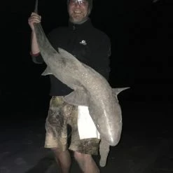 Trokar Hooks TK3 Offset Circle