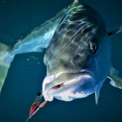 Lures, Jigs & Rigs Catch Double Trouble Rainbow Warrior Jig (60g-300g