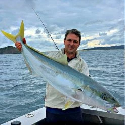 Catch Black Label Livies Softbait 5 Or 7