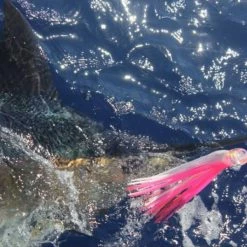 Richter Lures Soft Oscar 10