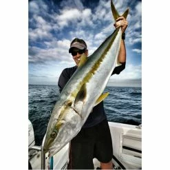 Clone Lures Stick Bait - Chartreuse Lures, Jigs & Rigs