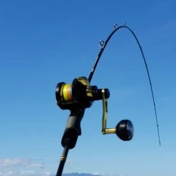 Rod & Reel Combos Catch JGX2000 + Kensai Slow Pitch Jigging Combo 20kg Drag 6ft 3in 1 Piece 80-150 Gram