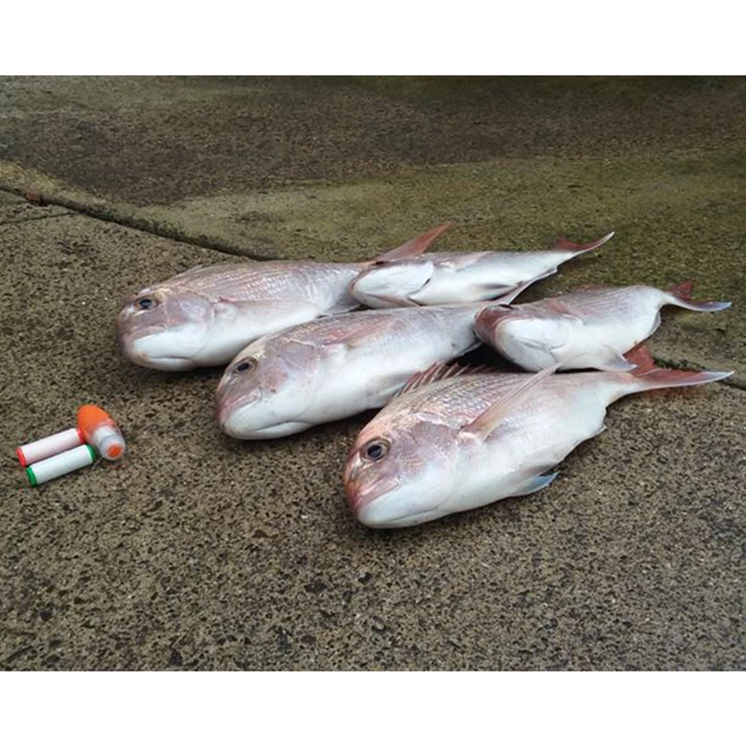 INOVA Bait Binder - Bait Elastic Dispenser