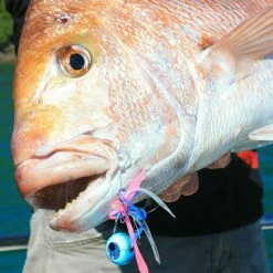 Catch Snapper Fishing Value Pack With Tackle Box Lures, Jigs & Rigs