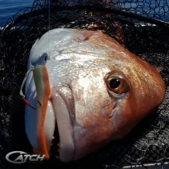 Catch Livies Softbait Pack - Curly Tail Golden Nugget Soft Baits