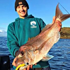 Catch Black Label Livies Softbait 5 Or 7