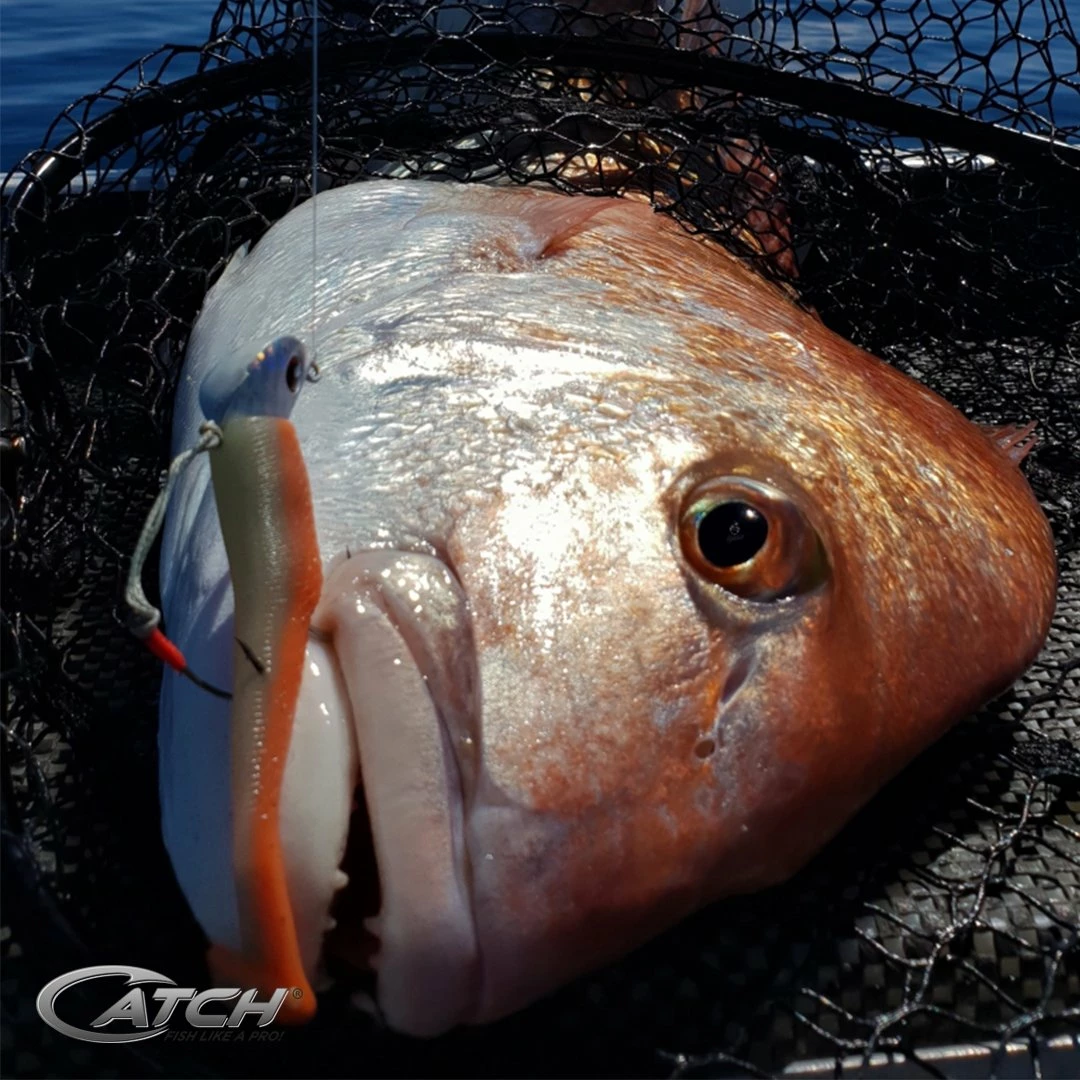 Catch Softbait Value Pack With Tackle Box