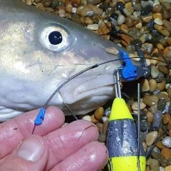 Trident Tackle Hangover