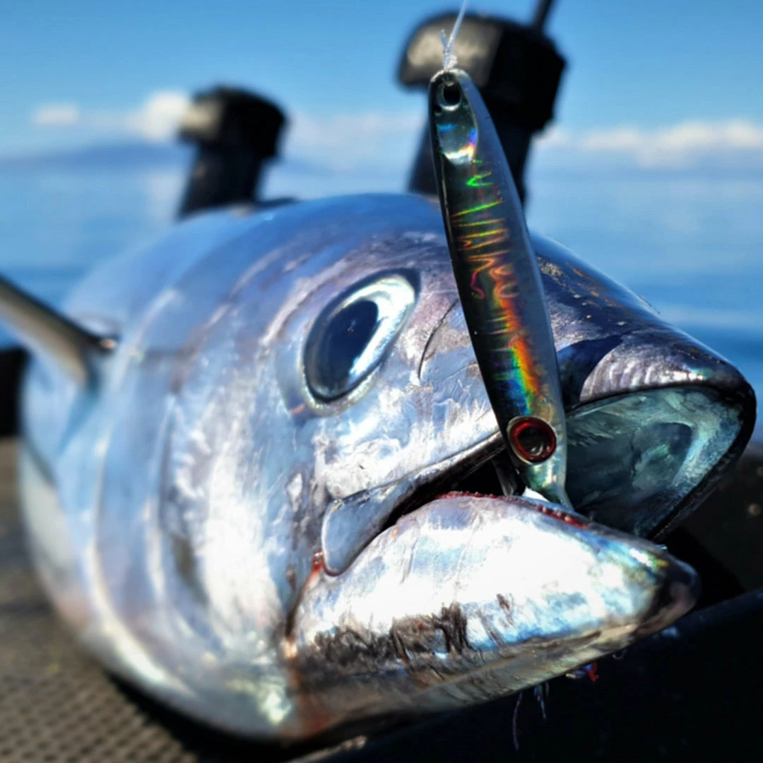 Catch Pocket Rocket Tungsten Micro Jig - Shady Lady Lures, Jigs & Rigs