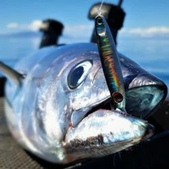 Lures, Jigs & Rigs Catch Pocket Rocket Tungsten Micro Jig - White Warrior