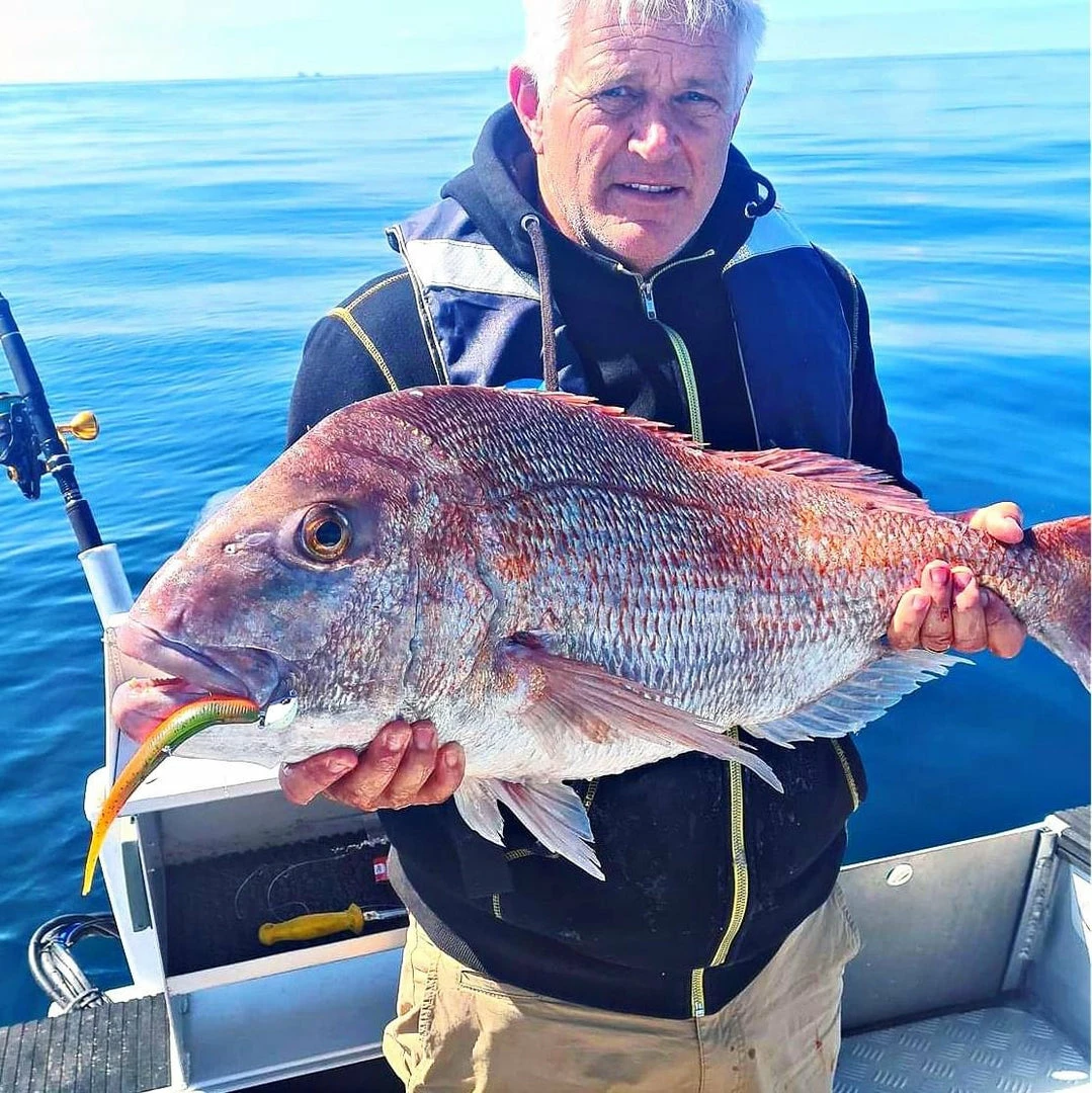 Catch Black Label Livies Softbait 5 Or 7" Jerkshad - Tom Tom